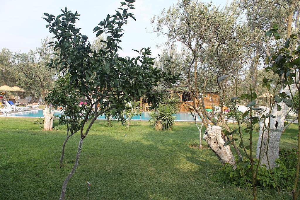 Assos Oleas Hotel Ayvacik Exterior photo