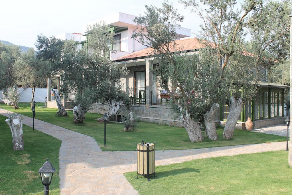 Assos Oleas Hotel Ayvacik Exterior photo
