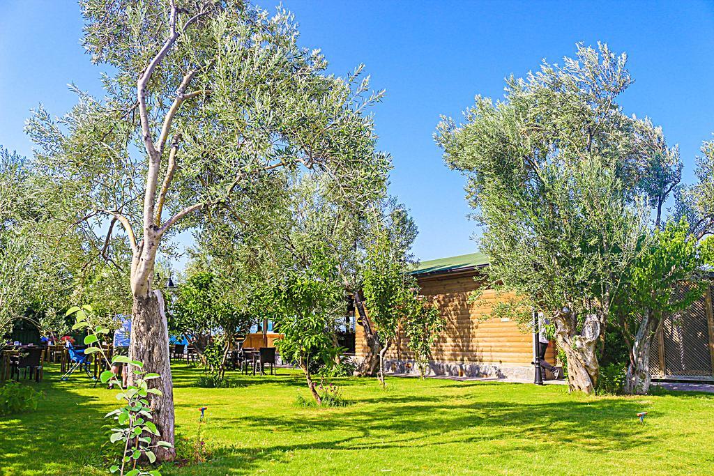 Assos Oleas Hotel Ayvacik Exterior photo